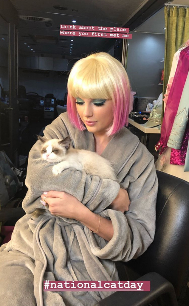 Taylor Swift Is Having The Most Purr Fect National Cat Day E